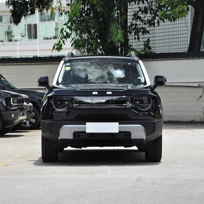 2025 BAW BJ30(Used)